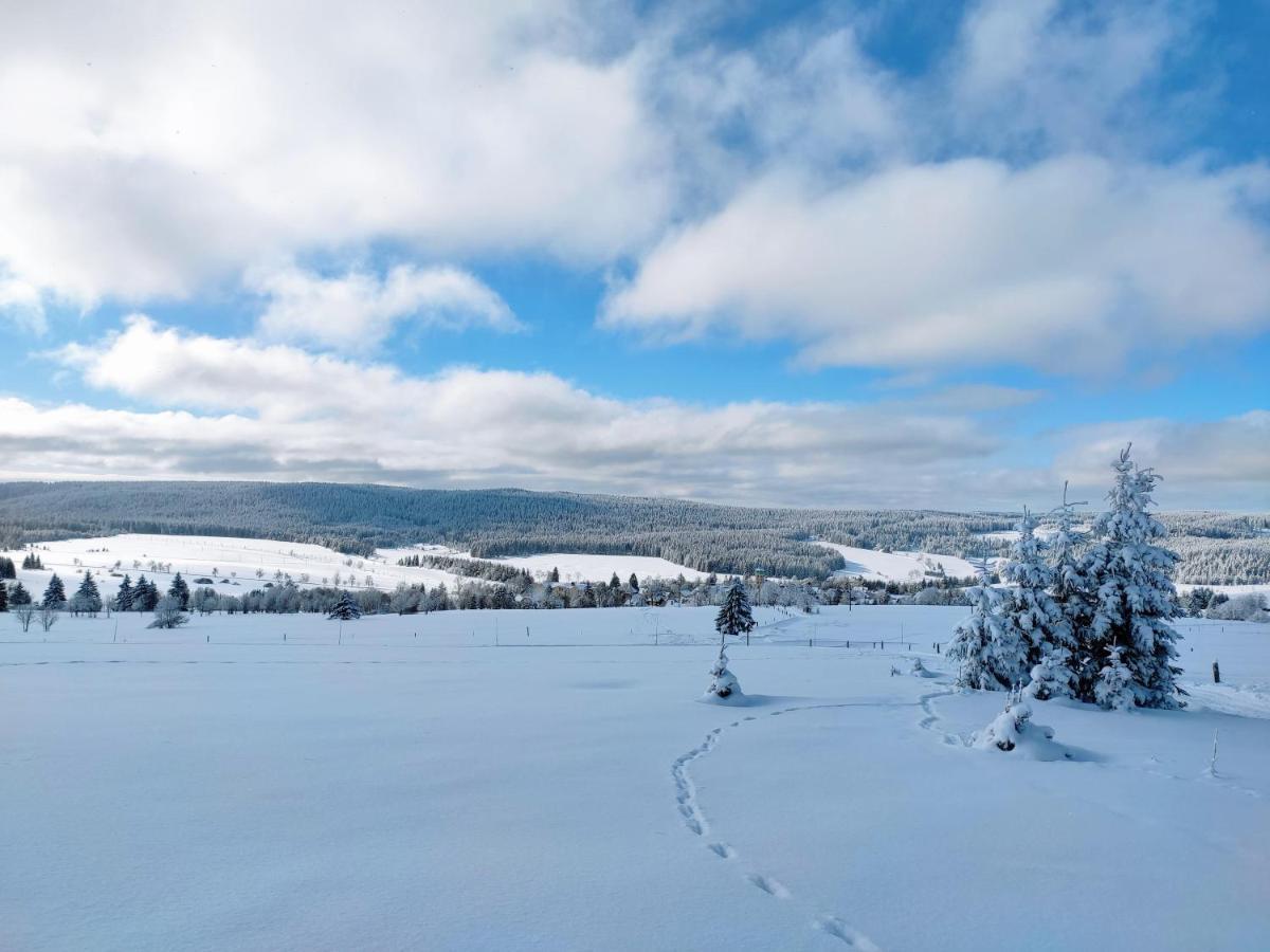 Apartmany U Muzea Horni Blatna Luaran gambar