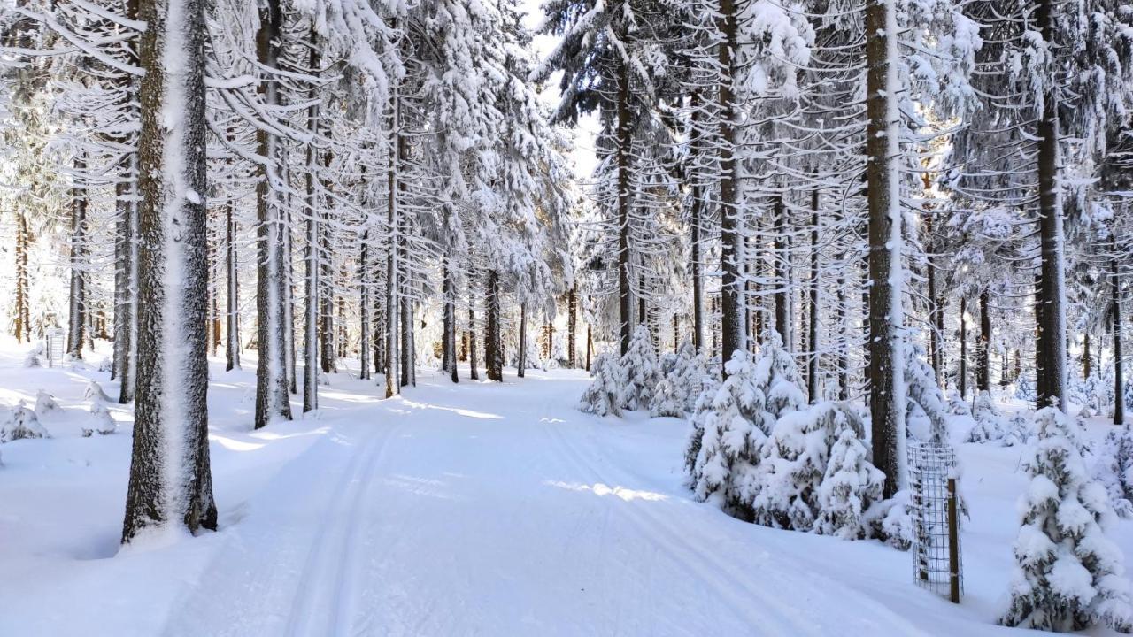 Apartmany U Muzea Horni Blatna Luaran gambar