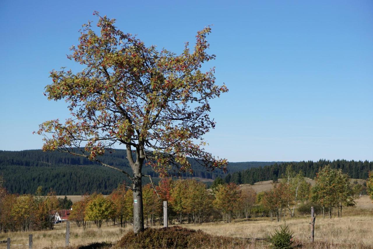 Apartmany U Muzea Horni Blatna Luaran gambar